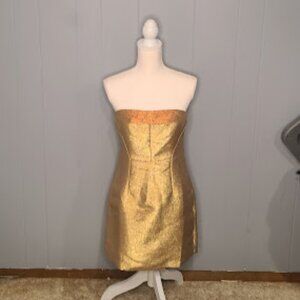 Golden Express Tube Mini Dress